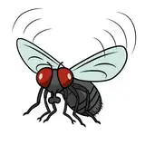 InsectBro from fanbox