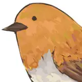 駒鳥 from fanbox