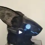 JtingF from patreon