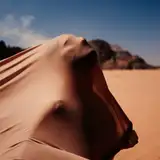 alexispaoleschi from patreon