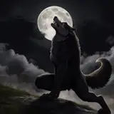 TheWolfHouse from patreon