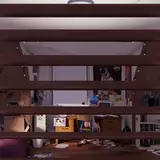 cerodier from patreon