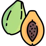 PapayaDood from patreon