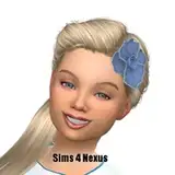 sims4nexus from patreon