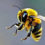 Chiku-Bee from fanbox