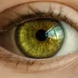 greeneyes23456 from patreon