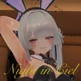 Ciel's Secret Room (Japanese VR ERP) from patreon