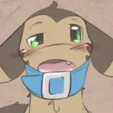 Diorexity from patreon