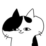 しんくん from fantia
