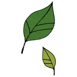 すけのは from fanbox