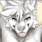 The Furry n00k from patreon
