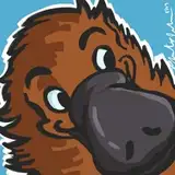 Potheplatypus from patreon