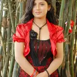 Harshita Sharma from patreon